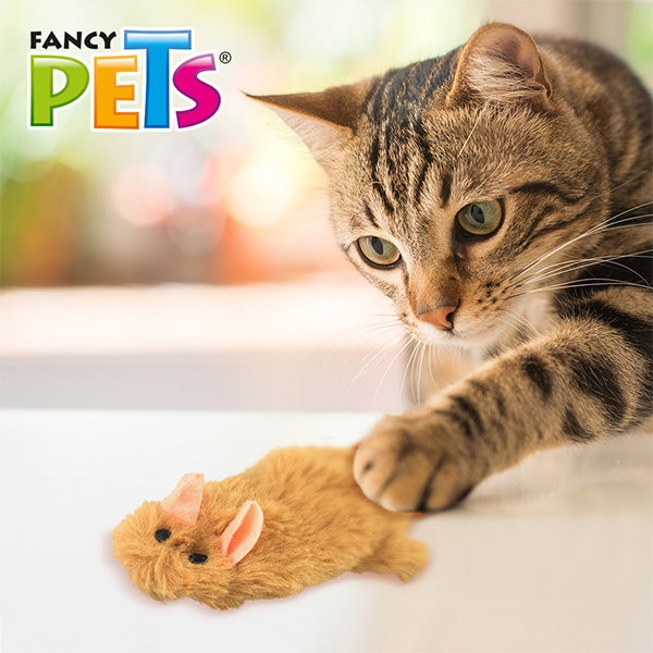 Peluches Skin ardilla  sound Peluches Skin ardilla  sound