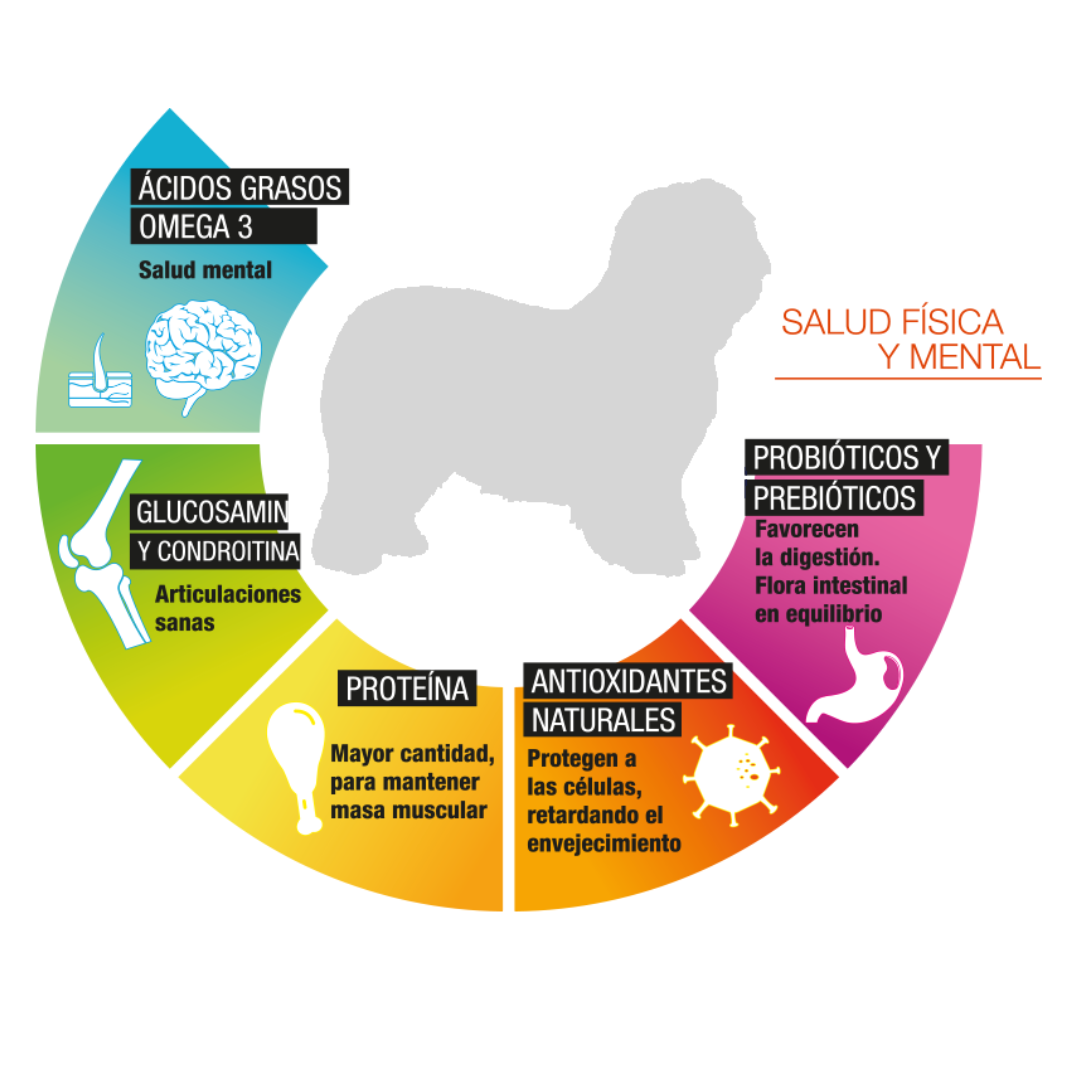 Perfect Sense Senior Perfect Sense Senior