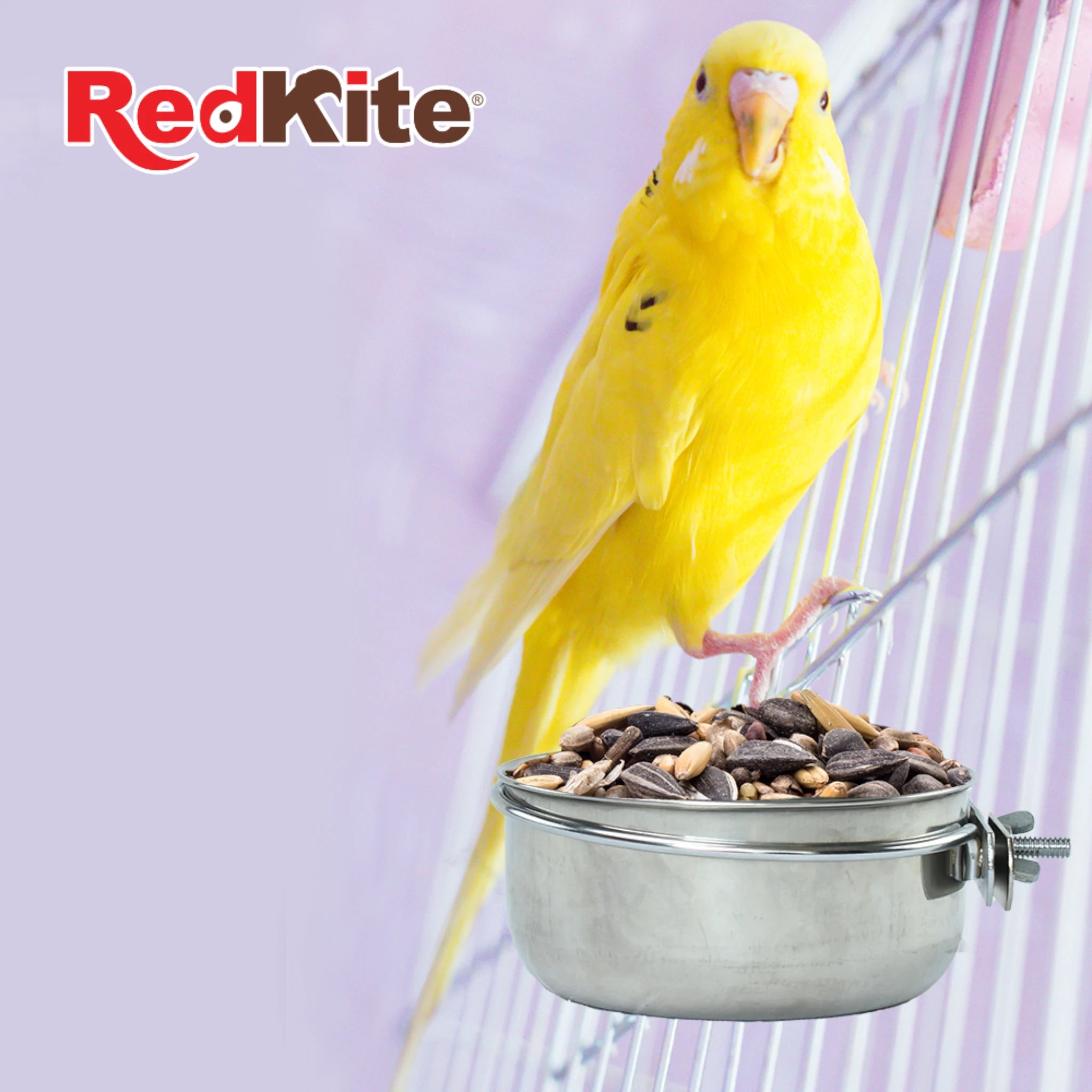 Comedero Taza de acero con abrazadera Periquito amarillo junto a comedero de acero inoxidable lleno de semillas.