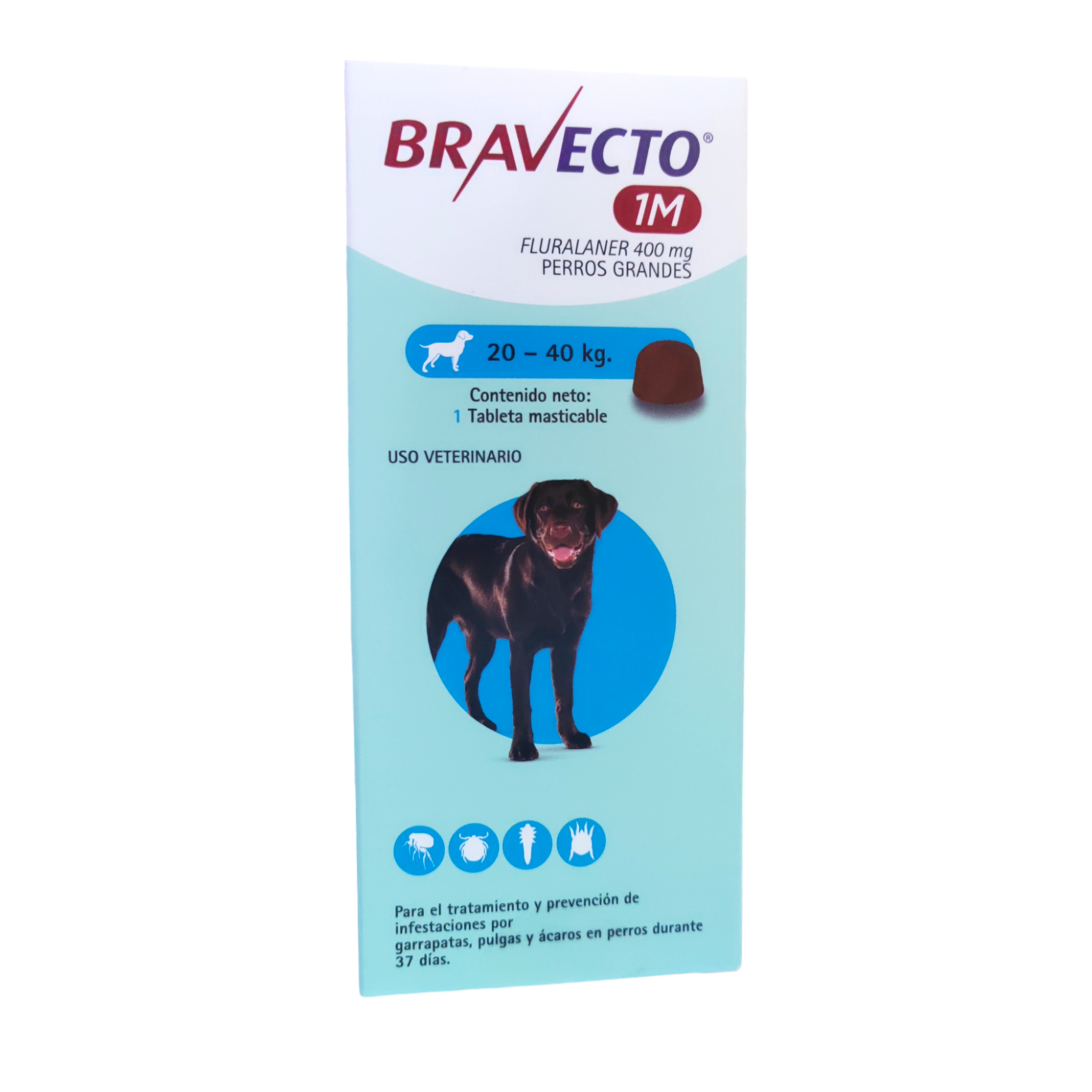 Bravecto 1M  20-40kg antipulgas y garrapatas Bravecto 1M  20-40kg antipulgas y garrapatas