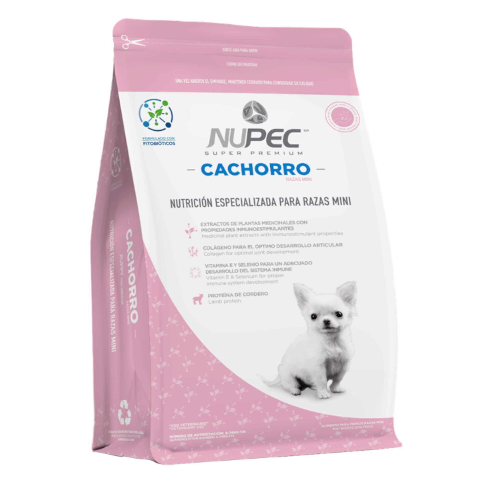 Nupec cachorro raza mini Nupec cachorro raza mini