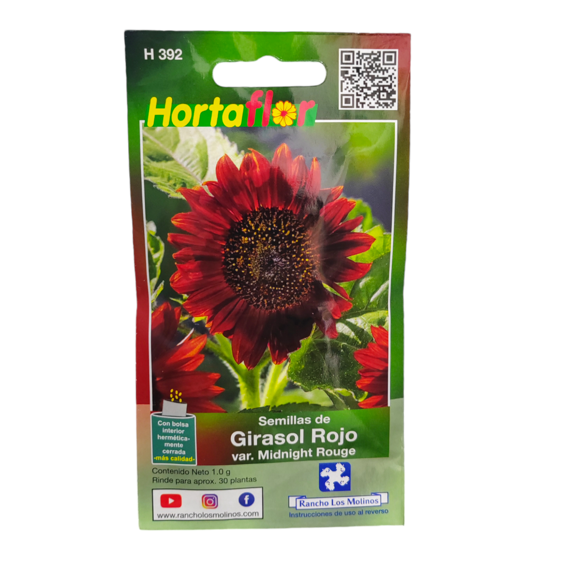 Semillas de Girasol Rojo Sobre de semillas de girasol rojo Midnight Rouge ideal para cultivar flores decorativas en huertos y jardines caseros