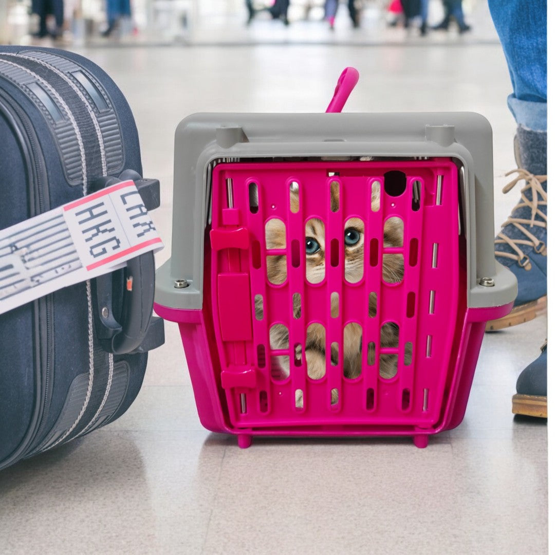 Transportadora para Mascotas Sunny Transportadora para Mascotas Sunny