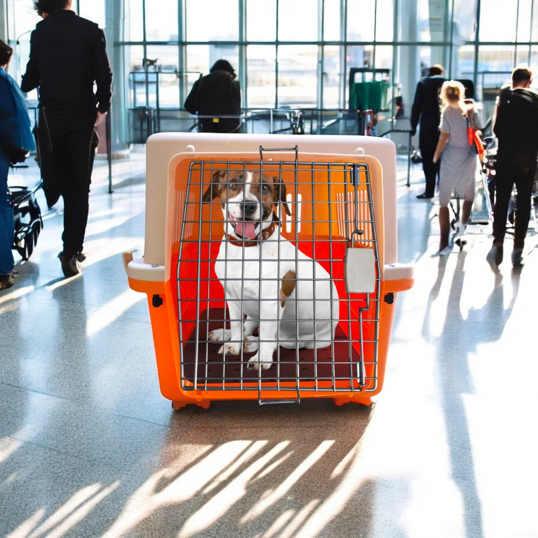 Transportadora para Mascotas Sunny Transportadora para Mascotas Sunny