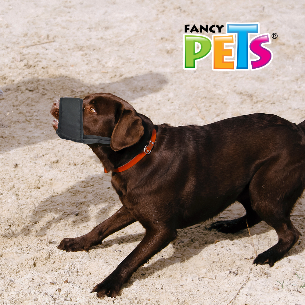 Bozal de tela para perros Bozal de tela para perros