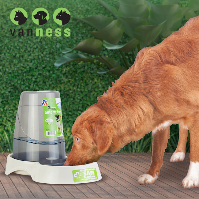 Bebedero automático Bebedero automático