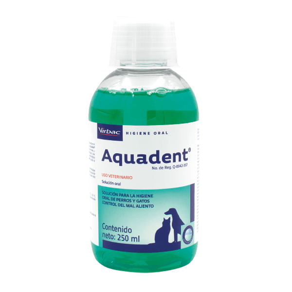 Aqua dent Aqua dent