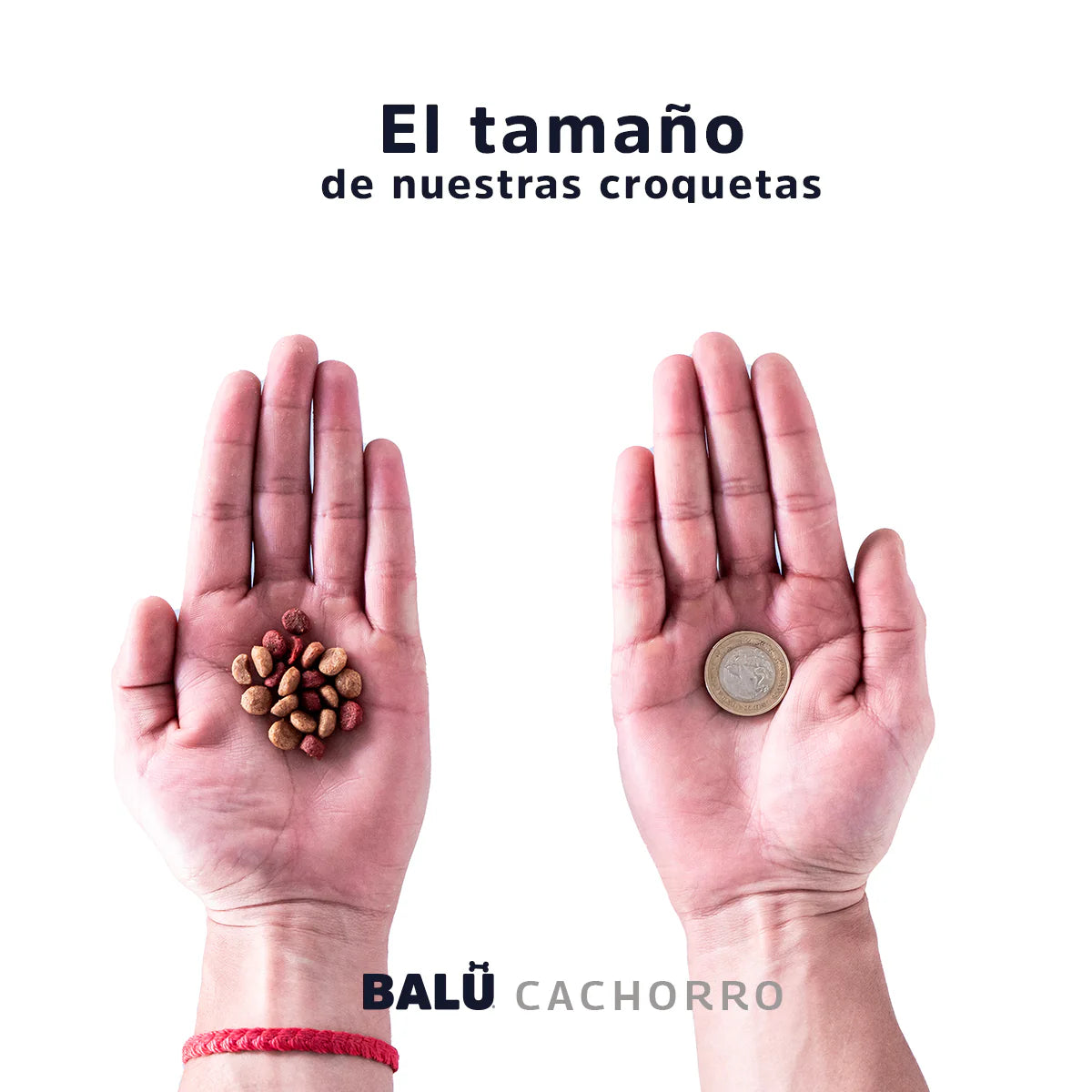 Balu Cachorro 20kg Balu Cachorro 20kg