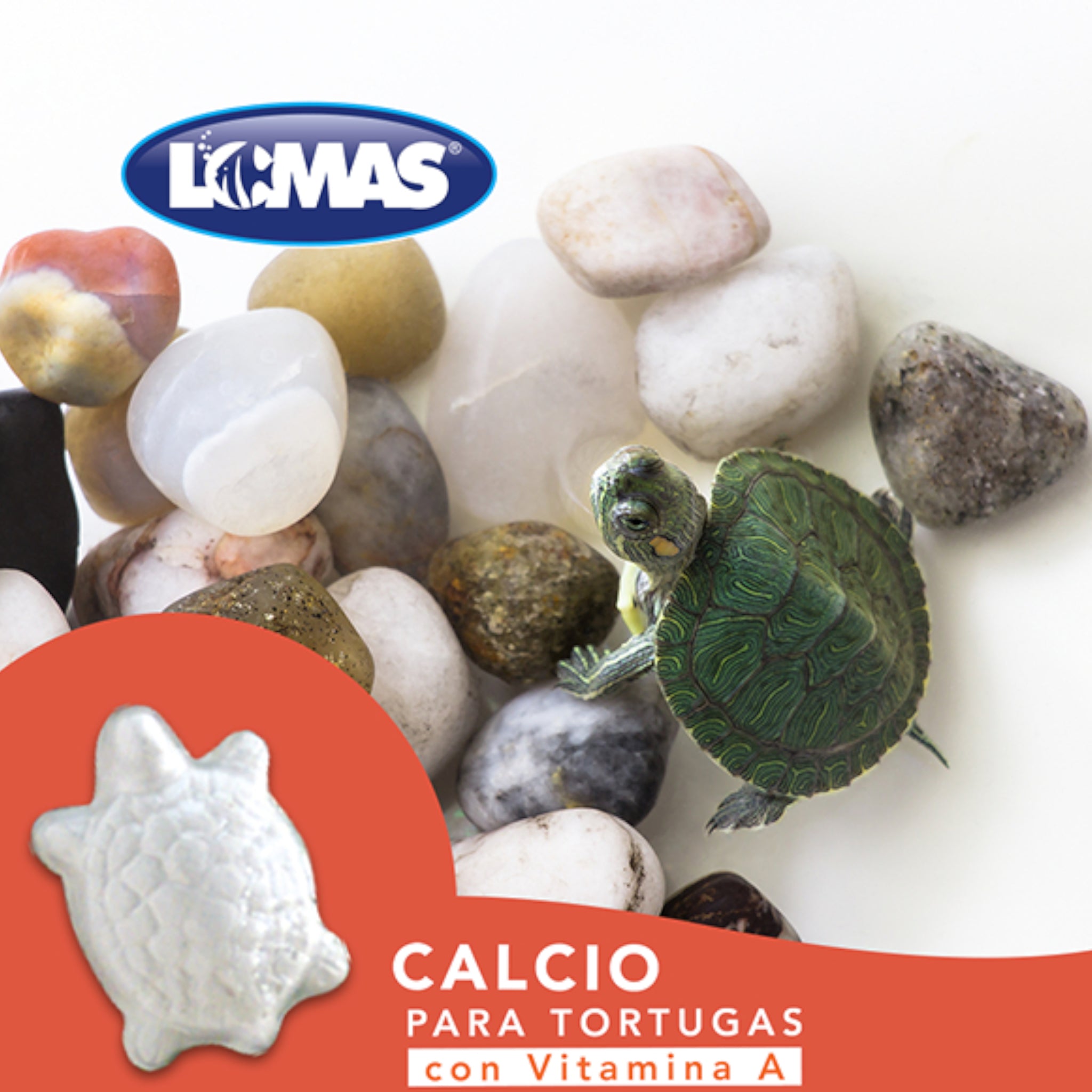 Calcio para tortugas con vitamina A calcio-tortugas-lomas-2piezas