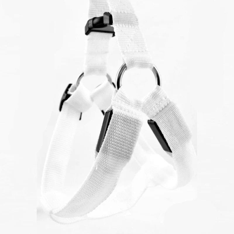 Arnés con luz led Arnés con luz led