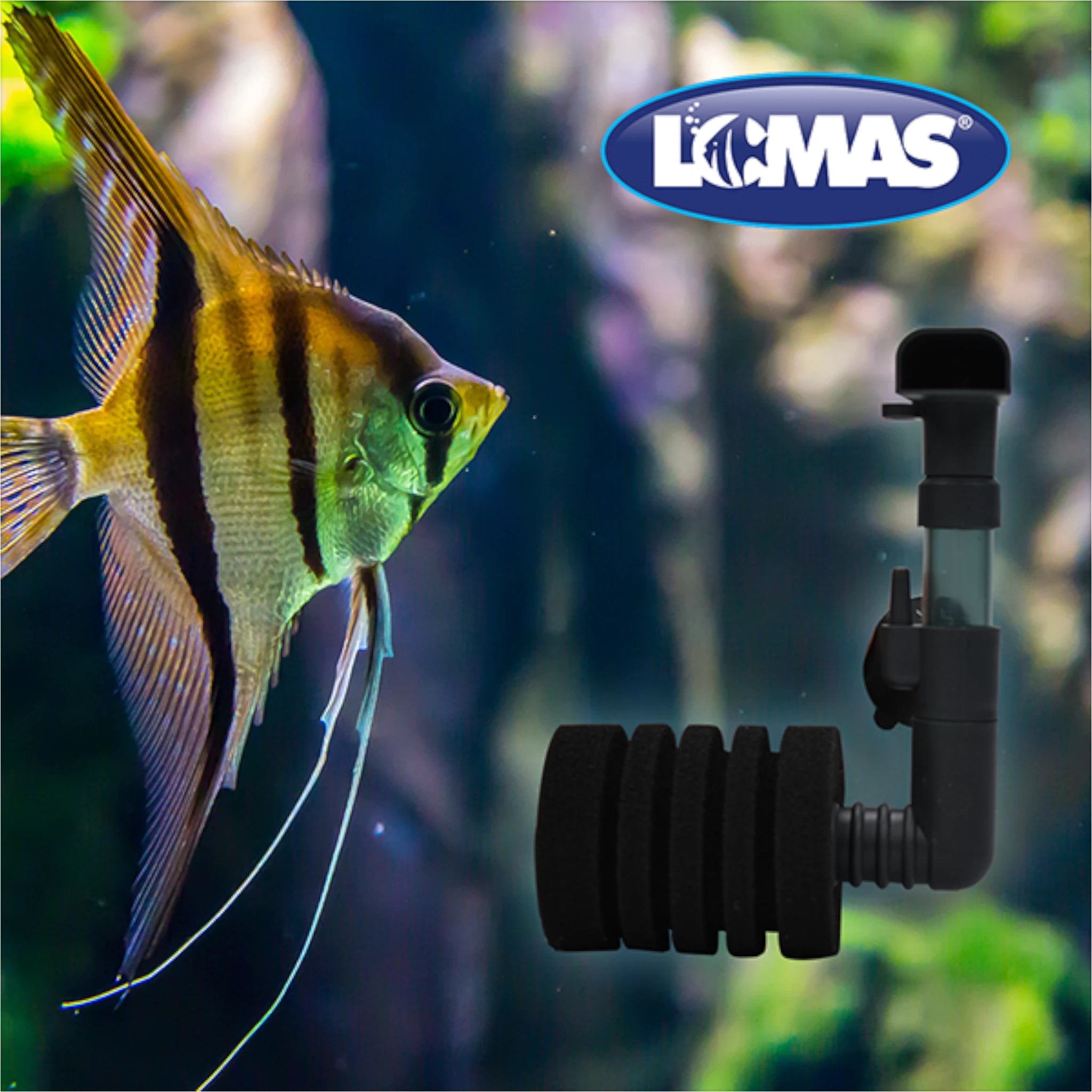 Filtro de esponja AquaJet Close-up de filtro de esponja AquaJet funcionando dentro de un acuario