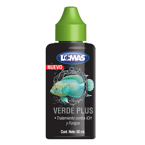 Verde plus Verde plus