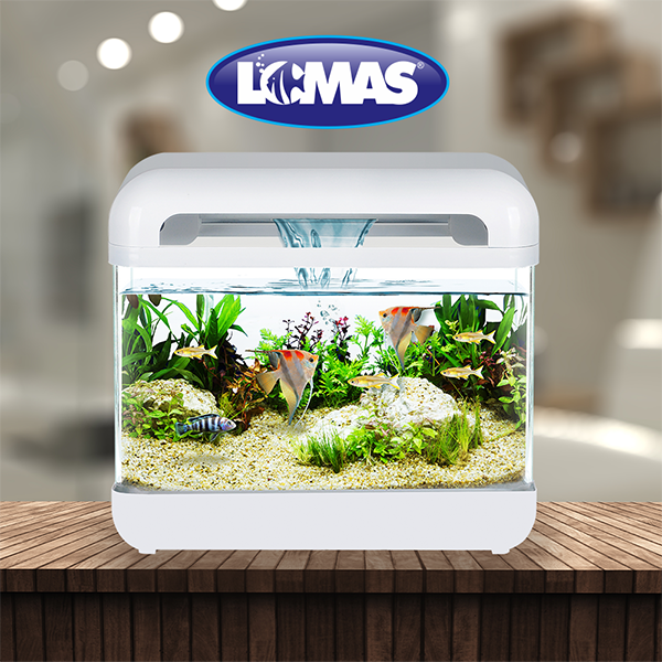 Acuario Nano cascada 15L Acuario Nano cascada 15L