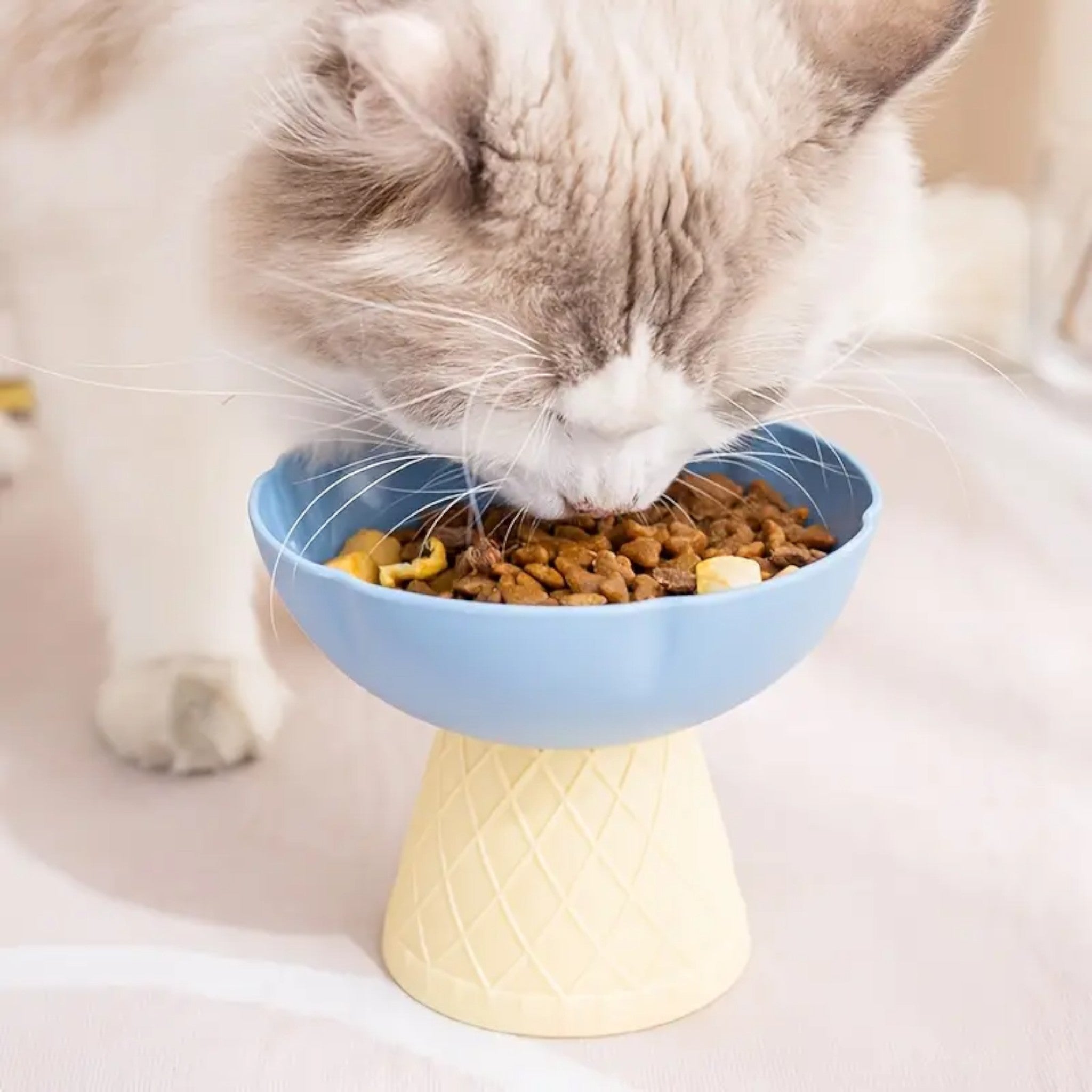 Tazón elevado en forma de helado Tazón elevado en forma de helado