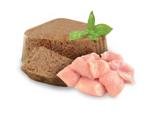 Alimento Húmedo para cachorro Nupec Alimento Húmedo para cachorro Nupec