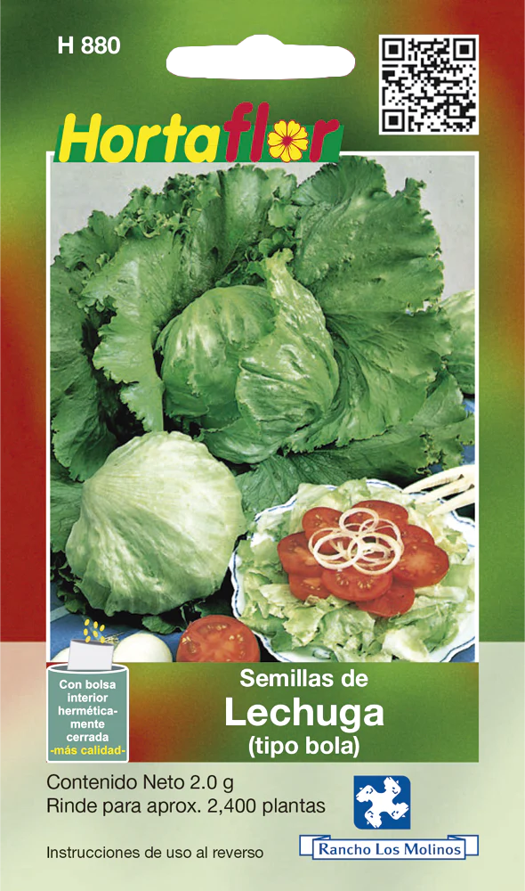 Semillas de Lechuga (tipo bola) Semillas de Lechuga (tipo bola)