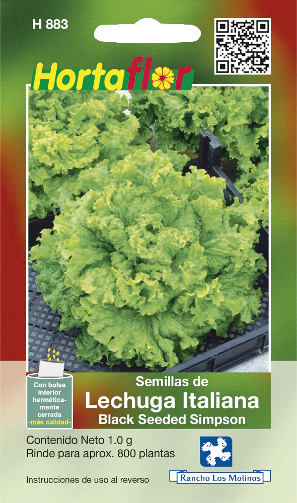 Semillas de Lechuga Italiana Black Seeded Simpson Semillas de Lechuga Italiana Black Seeded Simpson