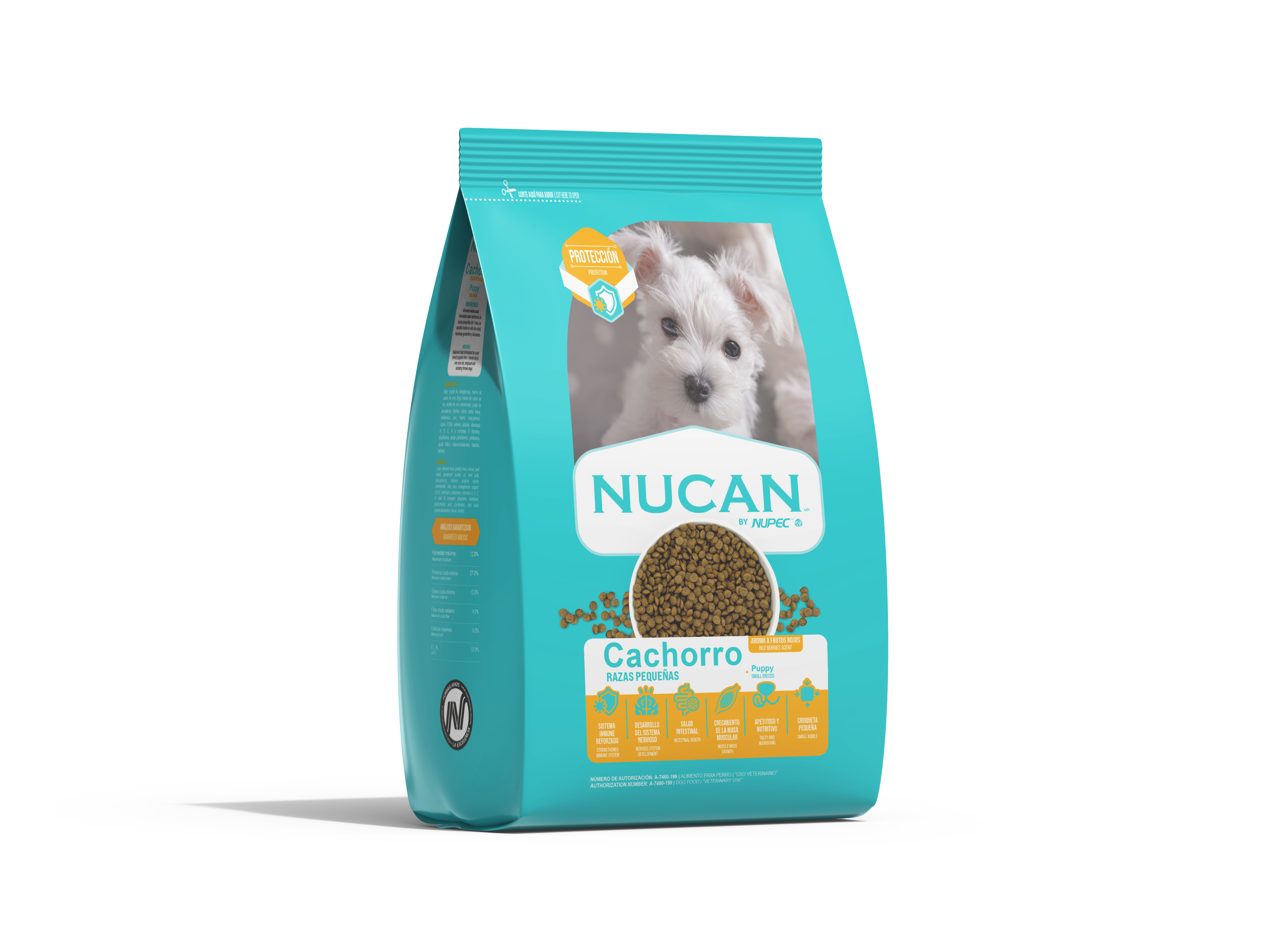 Nucan cachorro  raza pequeña Nucan cachorro  raza pequeña