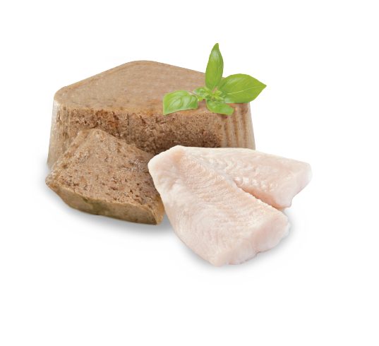 Digestive Alimento húmedo 100gr Digestive Alimento húmedo 100gr