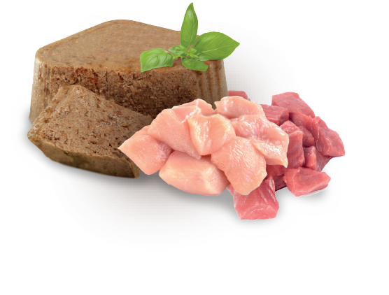 Alimento húmedo Senior  Nupec Alimento húmedo Senior  Nupec