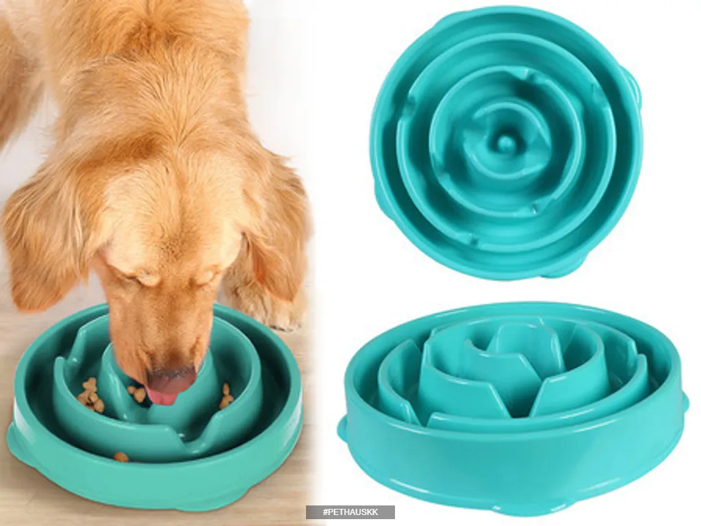 Plato para comer Lento Plato para comer Lento