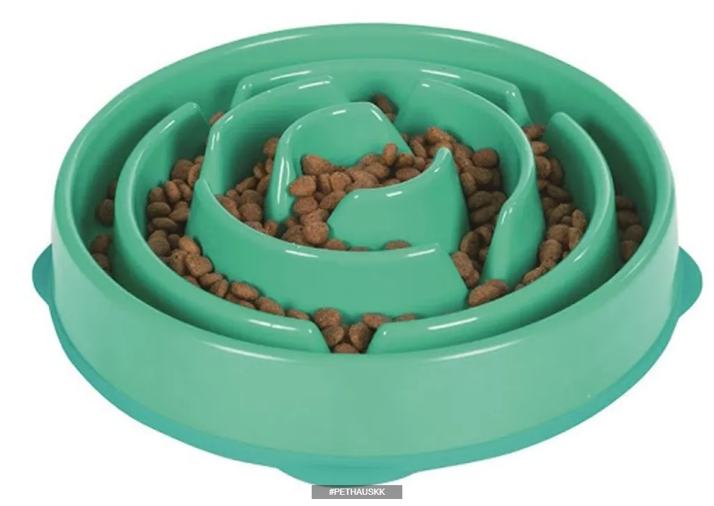 Plato para comer Lento Plato para comer Lento