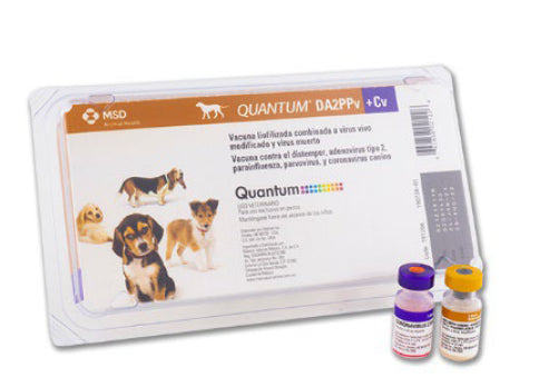 Vacuna Quantum DA2PPvL +Cv Vacuna Quantum DA2PPvL +Cv