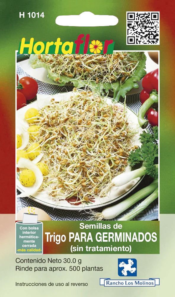 Semillas de Trigo para Germinados (sin tratamiento) Semillas de Trigo para Germinados (sin tratamiento)