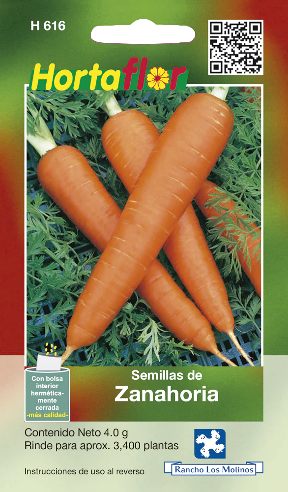 Semillas de Zanahoria Semillas de Zanahoria