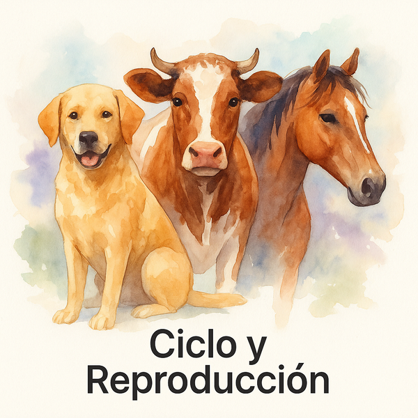 Ciclo y reproducción