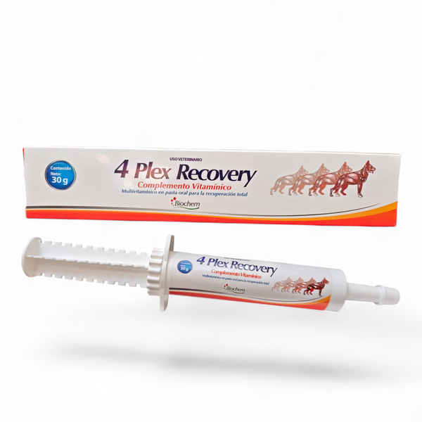 Presentación de 4 Plex Recovery en jeringa dosificadora de30 gramos, complemento vitamínico en pasta para recuperación de perros y gatos.