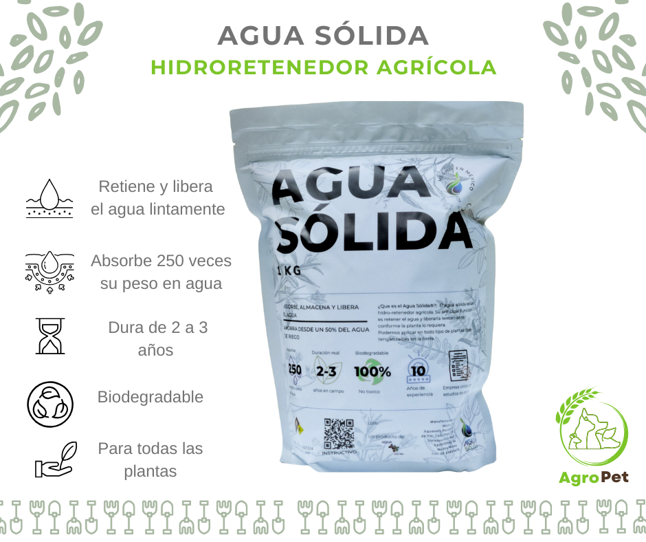 Agua Sólida