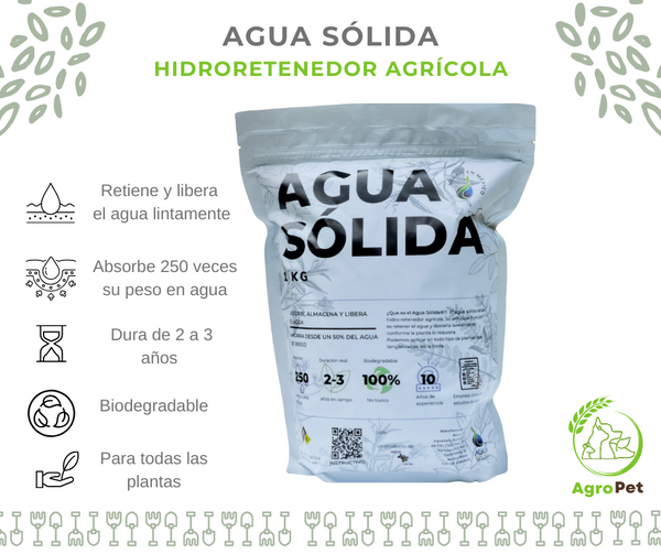 Agua Sólida