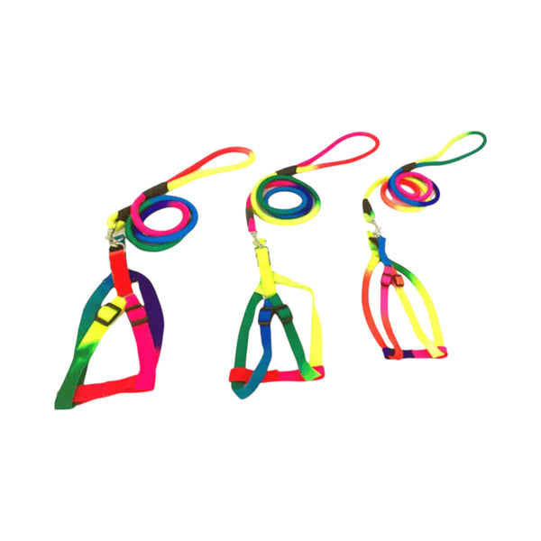 Juego de arnés y correa para perro en colores arcoíris, con cuerda reflectante y gancho metálico de 360°.