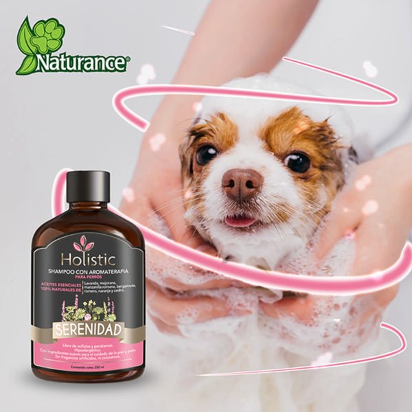 Perro siendo bañado con espuma y shampoo Holistic Serenidad con aromaterapia natural