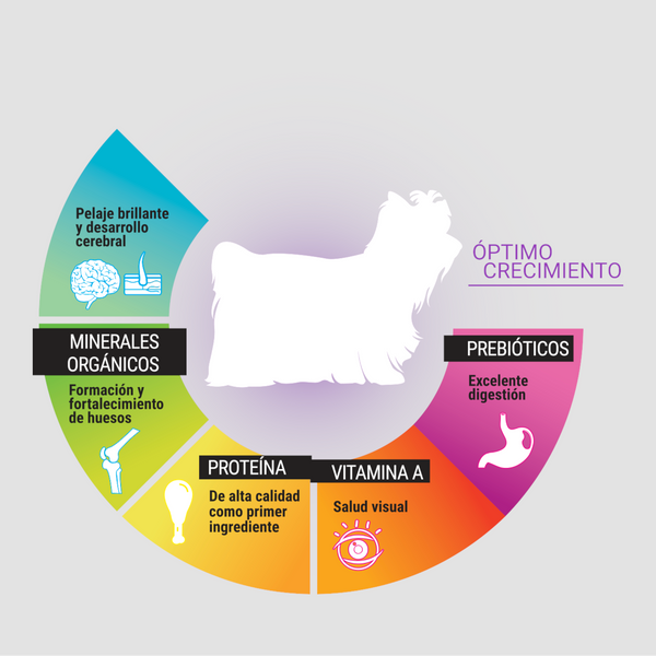 Infografía de Perfect Sense Cachorro Raza Pequeña mostrando omega 3, prebióticos, proteína y minerales para crecimiento óptimo.
