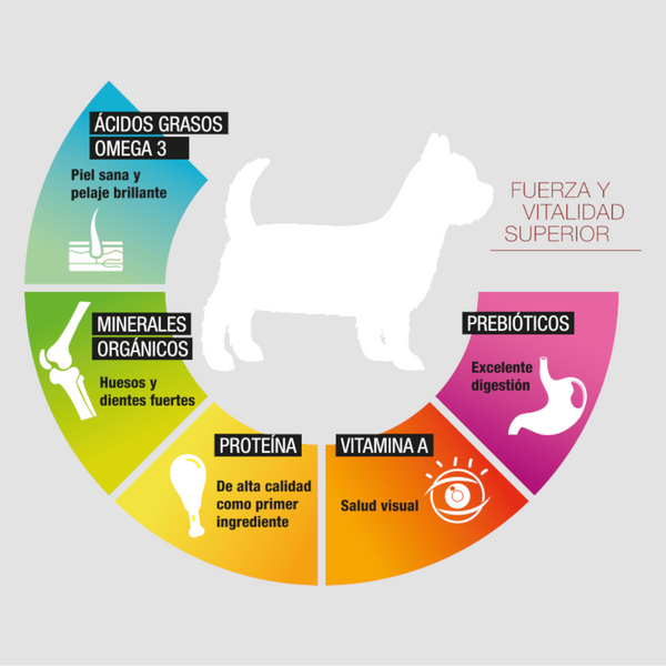 Infografía de Perfect Sense adulto raza pequeña con prebióticos, proteína, vitamina A, minerales orgánicos y omega 3 para digestión y piel sana