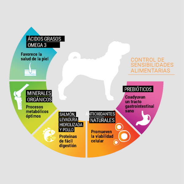 Beneficios del alimento Perfect Sense Sensitive para perros con piel sensible y digestión delicada