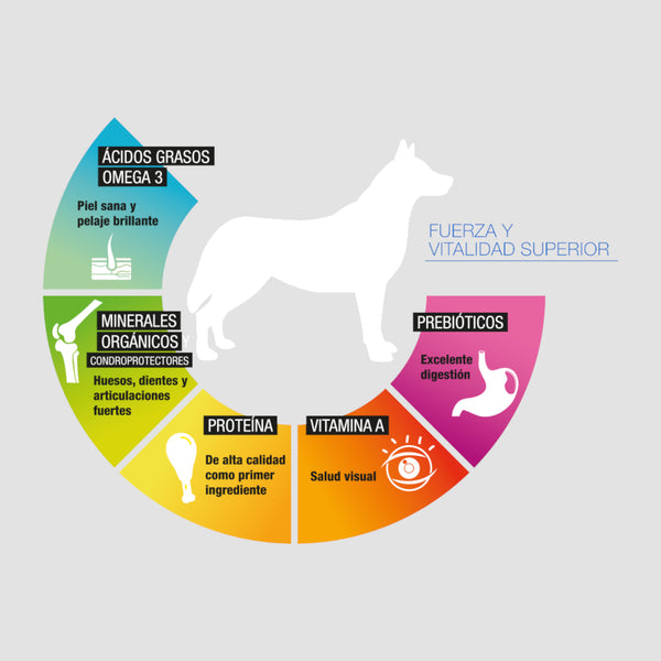 Infografía de Perfect Sense adulto razas medianas y grandes con omega 3, proteína de calidad, prebióticos, vitamina A y minerales orgánicos para perros