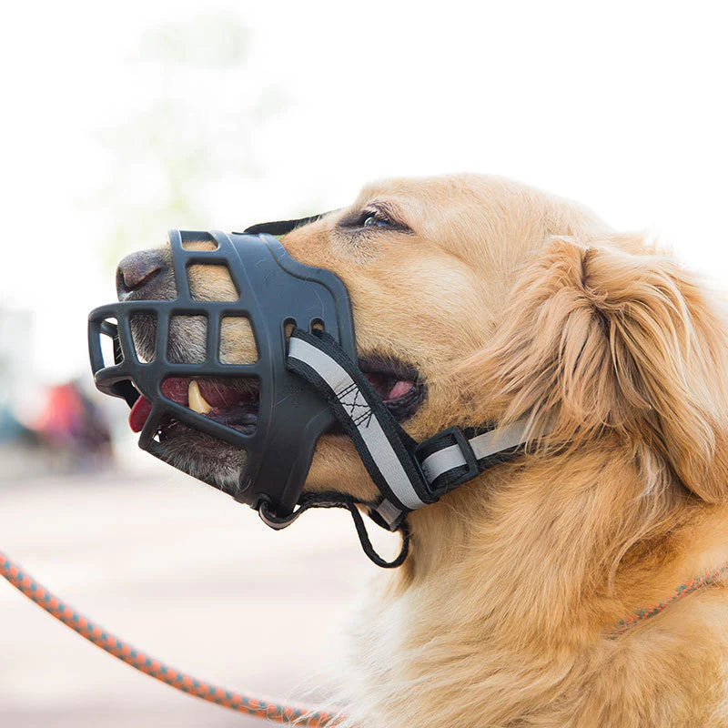 Bozal tipo canastilla para perro