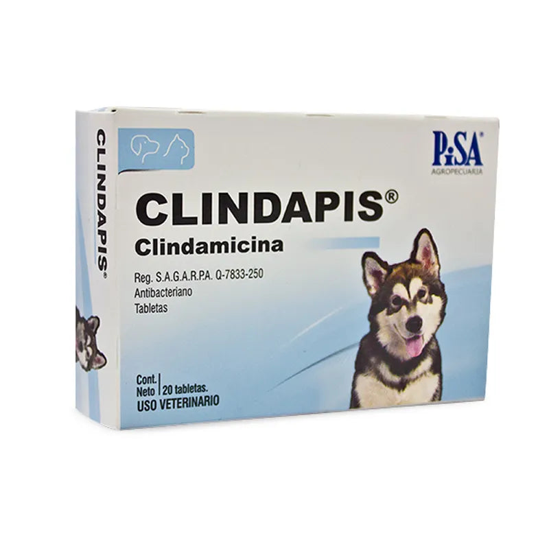 Caja de Clindapis con 20 tabletas, antibiótico oral para perros con clindamicina, indicado para infecciones bacterianas en piel, huesos y tejidos
