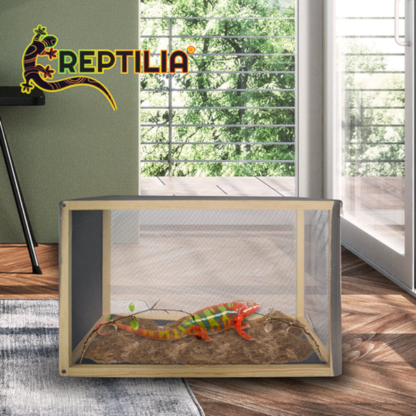 Camaleón dentro de un solarium armado, recibiendo luz natural desde una terraza cerrada.