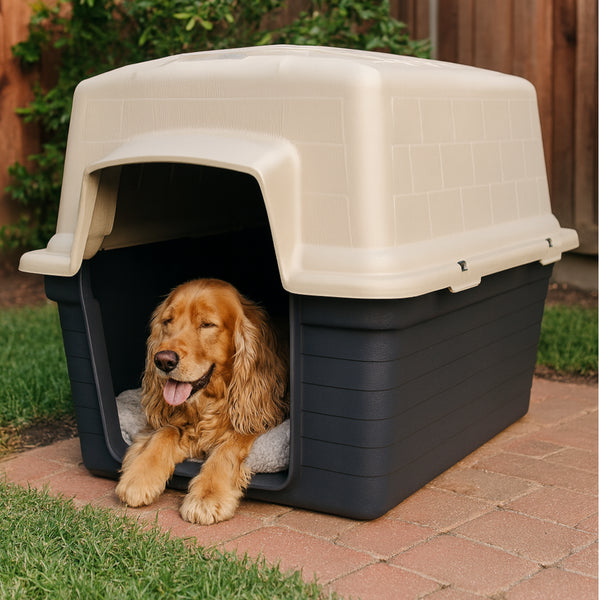Cocker Spaniel descansando dentro de una casita tipo iglu