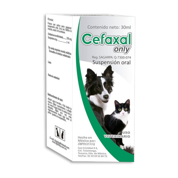 Caja de Cefaxal Only Suspensión, antibiótico oral con cefalexina 100 mg para tratar infecciones en perros y gatos