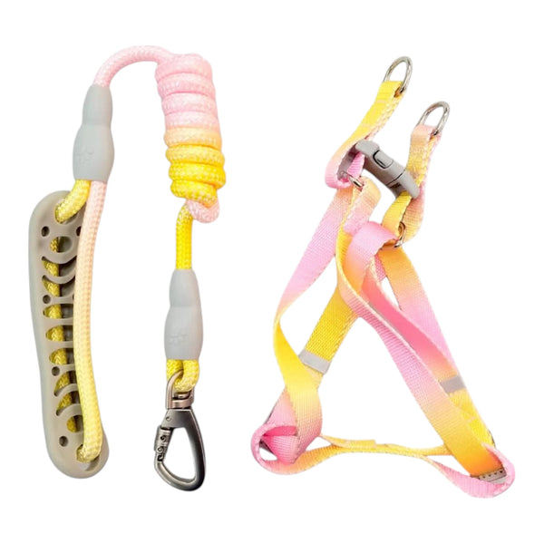 Correa con arnés para perro en colores degradados amarillo con rosa, con agarradera ergonómica, gancho giratorio con seguro y diseño cómodo.