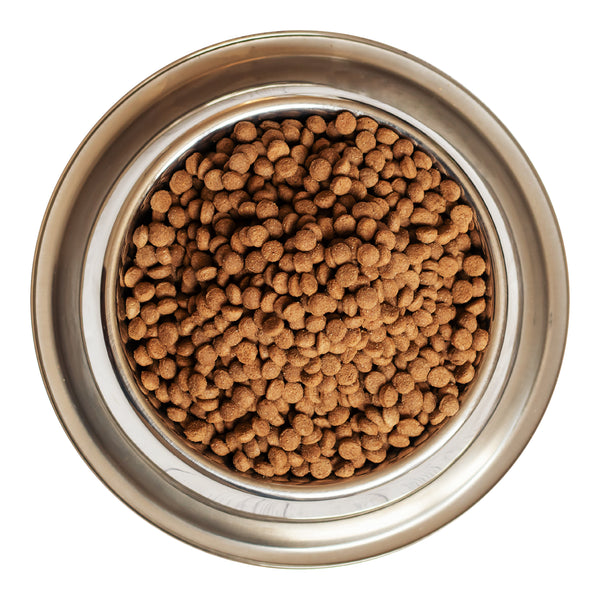 Vista superior de croquetas Maskottchen Premium Adulto servidas en un plato para perros adultos.