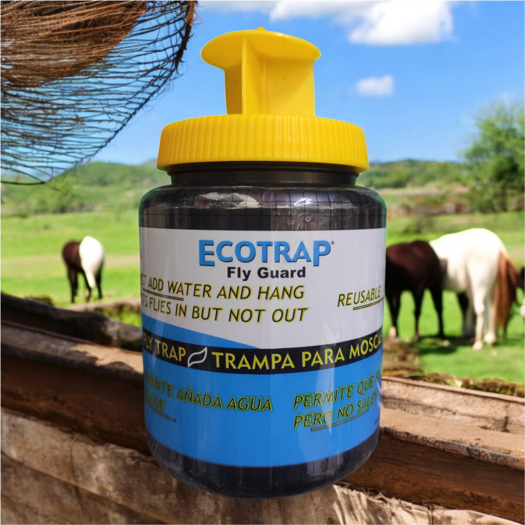 Trampa Ecotrap colgada en un establo con caballos al fondo, diseñada para atraer y retener moscas mediante cebo activado con agua.