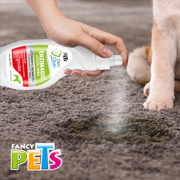 Persona aplicando Enzimagic Eliminador de Orina para perros sobre una alfombra manchada, junto a un cachorro