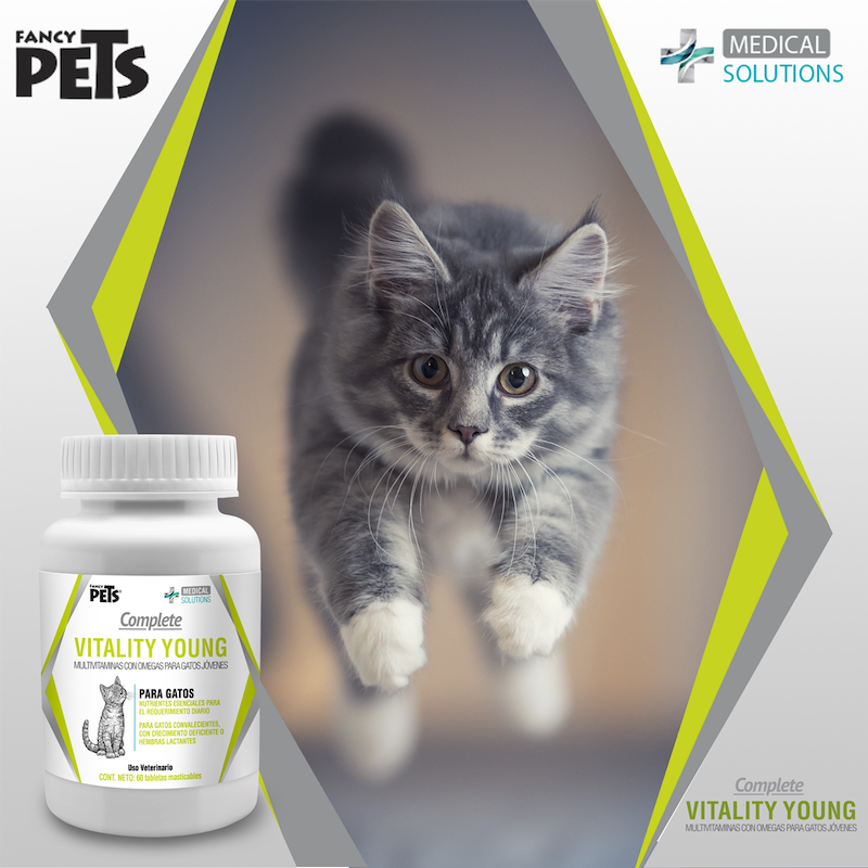 Vitality young Multivitamínico para gatos