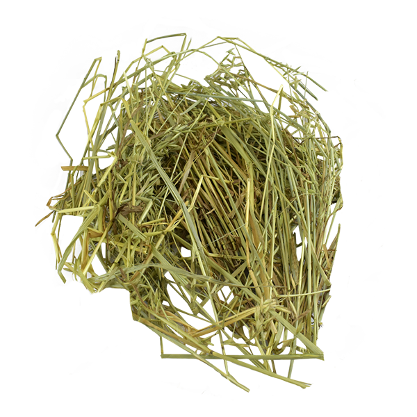 Heno de avena allpet